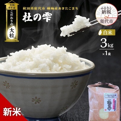 新米 令和8年産 白米 秋田県産 あきたこまち 3kg[No.5409-0037]