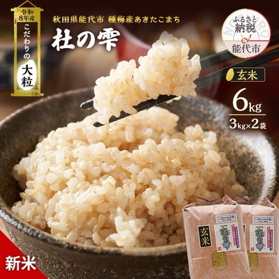 新米 令和8年産 玄米 秋田県産 あきたこまち 6kg(3kg×2)[No.5409-0045]