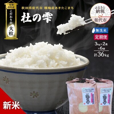 新米 令和8年産 定期便 無洗米 秋田県産 あきたこまち 6kg 全6回[No.5409-0055]
