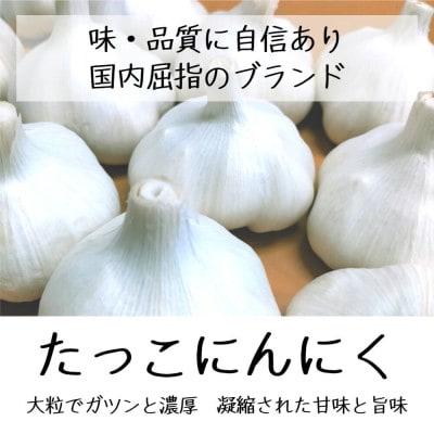 令和6年産新物!田子にんにく・6～7玉