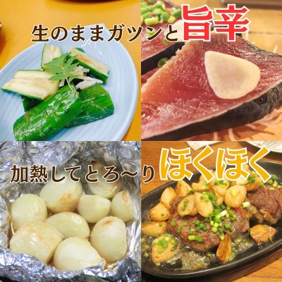 令和8年産朝採り直送!田子(たっこ)生にんにく約1kg(青森県田子町産にんにくM～Lサイズ混合)