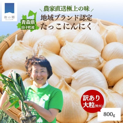 【訳あり】田子(たっこ)バラにんにく約800g(青森県田子町産にんにく中～大粒サイズ混合)