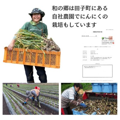 【訳あり】田子(たっこ)バラにんにく約800g(青森県田子町産にんにく中～大粒サイズ混合)