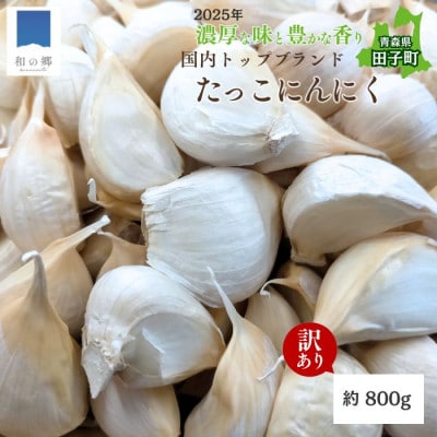 【訳あり】田子(たっこ)バラにんにく約800g(青森県田子町産にんにく中～大粒サイズ混合)