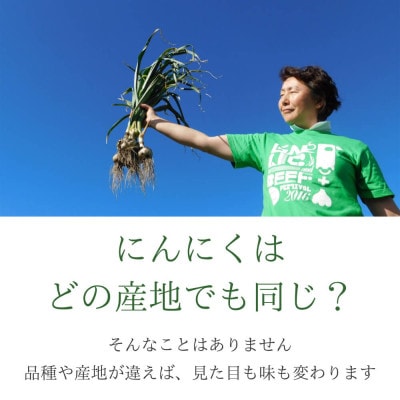 【訳あり】田子(たっこ)バラにんにく約800g(青森県田子町産にんにく中～大粒サイズ混合)
