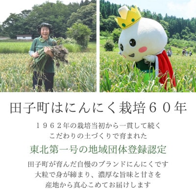 【訳あり】田子(たっこ)バラにんにく約800g(青森県田子町産にんにく中～大粒サイズ混合)