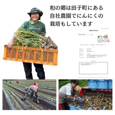 【訳あり】田子(たっこ)バラにんにく約500g(青森県田子町産にんにく中～大粒サイズ混合)
