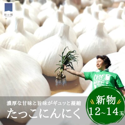 令和6年産新物!田子にんにく・12～14玉