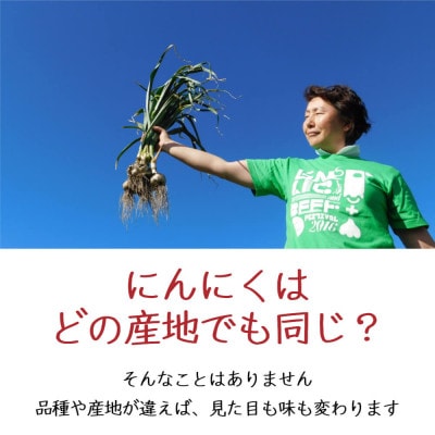 令和6年産新物!田子にんにく・12～14玉
