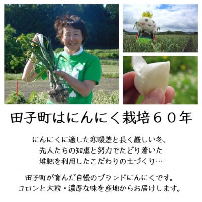令和6年産新物!田子にんにく・12～14玉