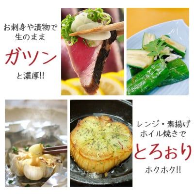 2025年産朝採り直送!田子町産掘りたて新鮮生にんにく2kgML(大～中サイズ)混合
