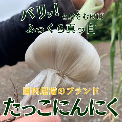令和8年産朝採り直送!田子(たっこ)生にんにく約5kg(青森県田子町産にんにくM～Lサイズ混合)