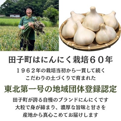 濃厚な味わいの田子町ブランド!たっこにんにくMサイズ10玉(青森県田子町産にんにく)