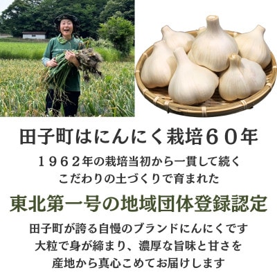 濃厚な味わいの田子町ブランド!たっこにんにくLサイズ7玉(青森県田子町産にんにく)