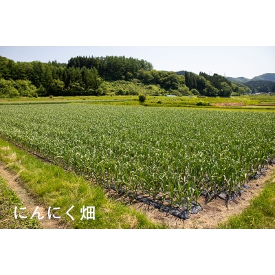 熟成黒にんにく　田子の黒Lサイズ6個入り(化粧箱)