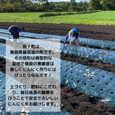 【KASANOVAにんにく(乾燥)】『20玉』