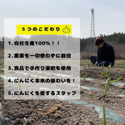 【KASANOVAにんにく(乾燥)】『20玉』