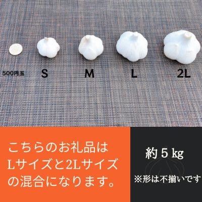 【KASANOVAの生にんにく　青森県田子町産(なま)】L&2L size『5kg』