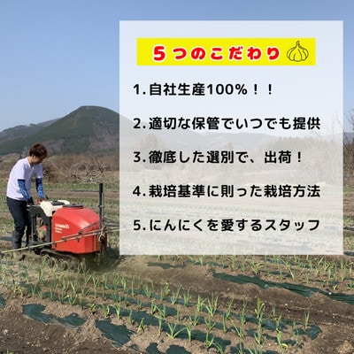 【訳あり】青森県田子町産バラにんにく『1kg』