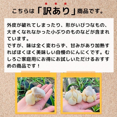 【訳あり】青森県田子町産にんにく(乾燥)『500g』(7～10個)