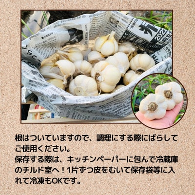 【訳あり】青森県田子町産にんにく(乾燥)『500g』(7～10個)