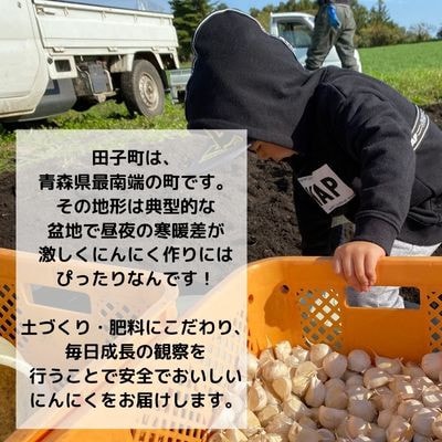【KASANOVAのにんにく　青森県田子町産(むき)】『2kg』