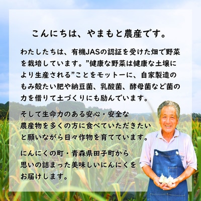 やまもと農産のオーガニックにんにく Sサイズ 1kg