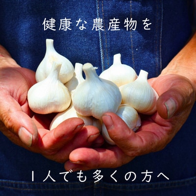 やまもと農産のオーガニックにんにく(バラ)1kg