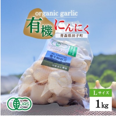 やまもと農産のオーガニックにんにく Lサイズ 1kg