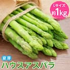 [先行受付]2025年産 ハウスアスパラ(夏芽) L サイズ　約1kg
