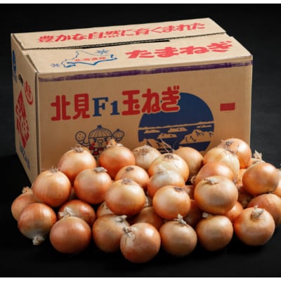 玉ねぎLサイズ・20kg