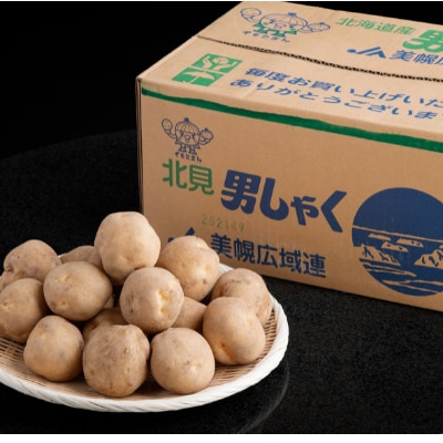 北海道JAびほろ じゃがいも「男爵」Lサイズ・10kg