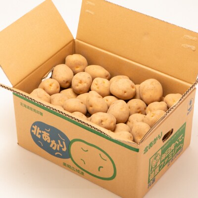 「数量限定訳あり品」北海道JAびほろ じゃがいも「きたあかり」Mサイズ・10kg