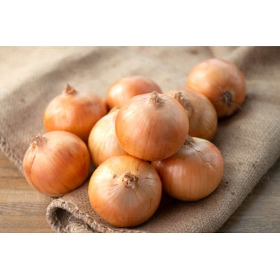 【数量限定・訳あり品】玉ねぎ Sサイズ 10kg