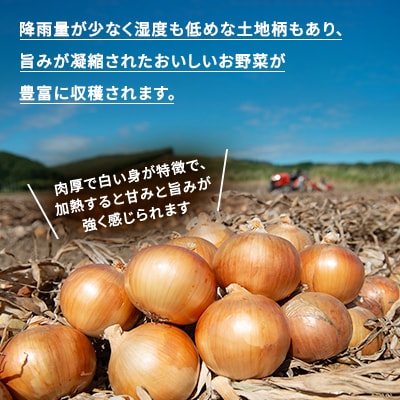 【数量限定・訳あり品】玉ねぎ Sサイズ 10kg