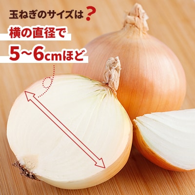 【数量限定・訳あり品】玉ねぎ Sサイズ 10kg