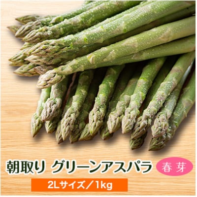【発送月固定定期便】年5回!旬のびほろ野菜定期便(アスパラ、スイートコーン、玉ねぎ等) 全5回
