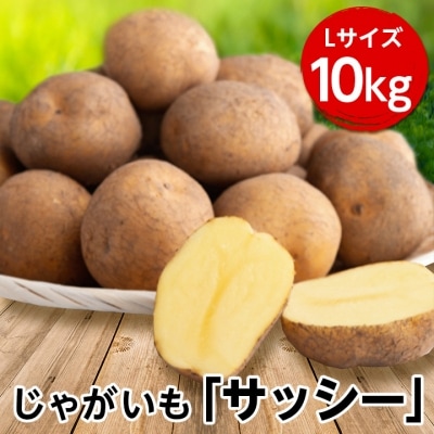 【発送月固定定期便】年5回!旬のびほろ野菜定期便(アスパラ、スウィートコーン、玉ねぎ等)全5回