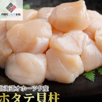 北海道オホーツク産 ホタテ貝柱 500g×1パック