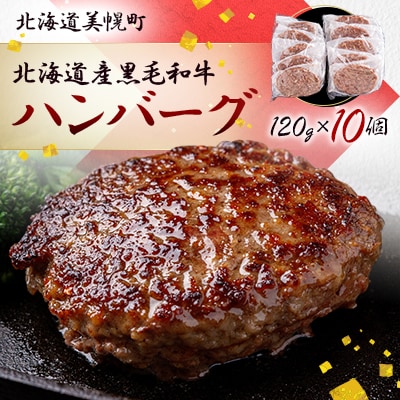 北海道産黒毛和牛ハンバーグ120g×10個
