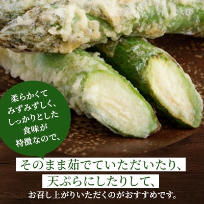 [先行受付]2026年産 柔らかくてみずみずしい朝取りグリーンアスパラ(春芽)3L 1kg