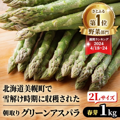 2025年産 柔らかくて瑞々しい朝取りグリーンアスパラ(春芽)2L 1kg