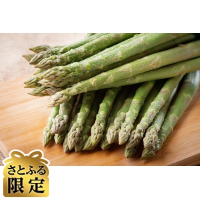 【さとふる限定】2026年 柔らかくて瑞々しい朝取りグリーンアスパラ(春芽) L 1kg