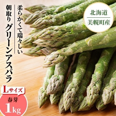 2026年 柔らかくて瑞々しい朝取りグリーンアスパラ(春芽) L 1kg