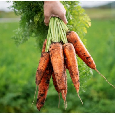 訳ありにんじん 2kg