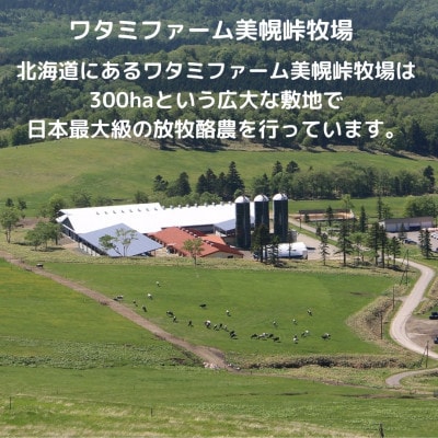 美幌峠牧場グラスフェッドミルクアイス　紅はるか10個