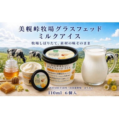 美幌峠牧場グラスフェッドミルクアイス　はちみつ6個