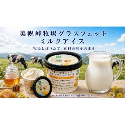 美幌峠牧場グラスフェッドミルクアイス　はちみつ10個