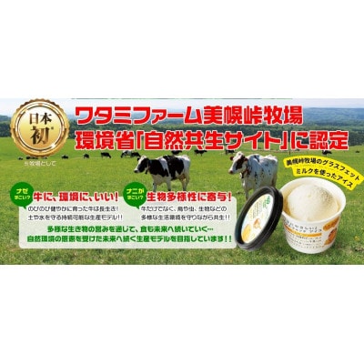 美幌峠牧場グラスフェッドミルクアイス　はちみつ10個