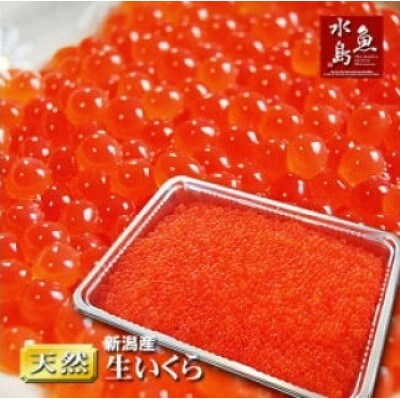 生イクラ　1kg